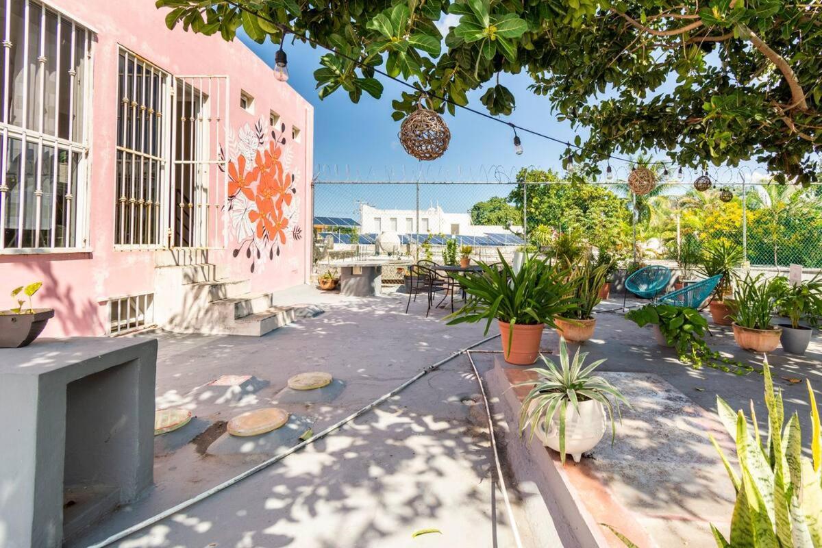Carlota Guest House Cozumel Dış mekan fotoğraf